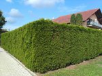 IMG_20180908_104639.jpg