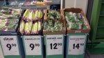 IMG_20190105_172323.jpg