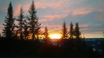 IMG_20190106_152846.jpg