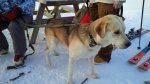 IMG_20190111_135526.jpg