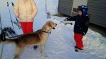 IMG_20190111_135645.jpg