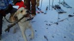 IMG_20190111_140047.jpg