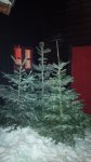 IMG_20181229_185021.jpg