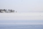 DSC07680.JPG