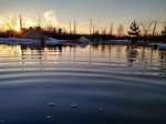 IMG_20190407_191728.jpg
