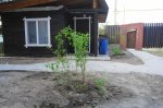 DSC07946.JPG