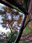 IMG_20190825_081634.jpg