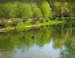Снимок экрана 2019-10-15 в 8.26.52.png