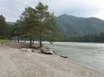 20180719_144818.jpg