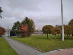 IMG_20200929_144138_1.jpg
