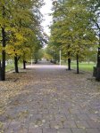 IMG_20200929_144238.jpg