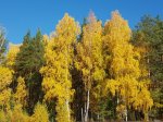 20201002_111623.jpg