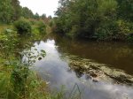 20200830_173820.jpg