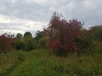 20200830_180140.jpg