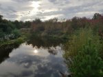 20200830_180155.jpg