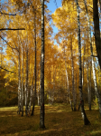 Снимок экрана 2020-10-04 в 21.29.44.png