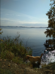 Снимок экрана 2020-10-04 в 21.30.47.png