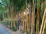IMG-20190828-WA0018.jpg
