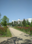 Снимок экрана 2020-11-15 в 20.09.00.png