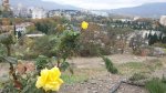20201113_142659.jpg
