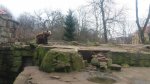 20210302_094359.jpg