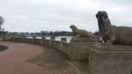 20210302_114333.jpg