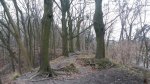 20210302_134645.jpg