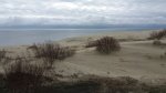 20210304_113858.jpg