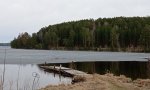 IMG_20210427_230801.jpg