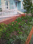 Снимок экрана 2021-05-13 в 8.21.14.png