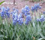 IMG_20210515_094205.jpg