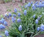 IMG_20210515_094128.jpg