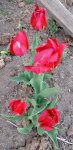 IMG_20210515_093642.jpg