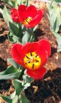 IMG_20210515_123025.jpg