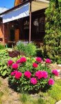 IMG_20210605_102420.jpg