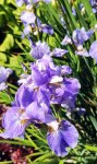 IMG_20210605_102505.jpg
