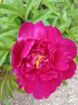 IMG_20210612_142904.jpg