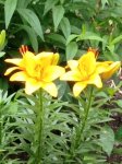 IMG_20210617_221238.jpg
