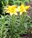 IMG_20210617_221052.jpg