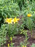 IMG_20210617_192255.jpg