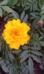 IMG_20210620_002523.jpg
