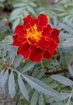 IMG_20210620_002500.jpg