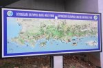 DSC04142.JPG