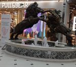 IMG_20210817_100052.jpg