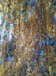 IMG-20211014-WA0039.jpg