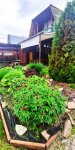 IMG_20220613_120311.jpg