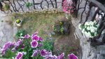 20220718_204041.jpg