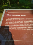 Снимок экрана 2022-08-02 в 22.49.00.png