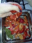 IMG_20221008_115509.jpg