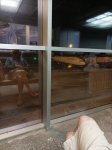 IMG_20220826_030456.jpg
